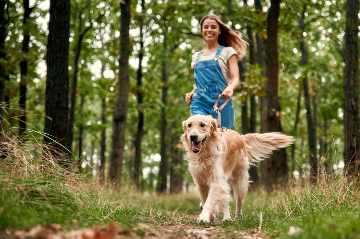 A joyful woman in comfortable overalls walks through a lush green forest with her playful golden retriever, both enjoying the wonders of nature